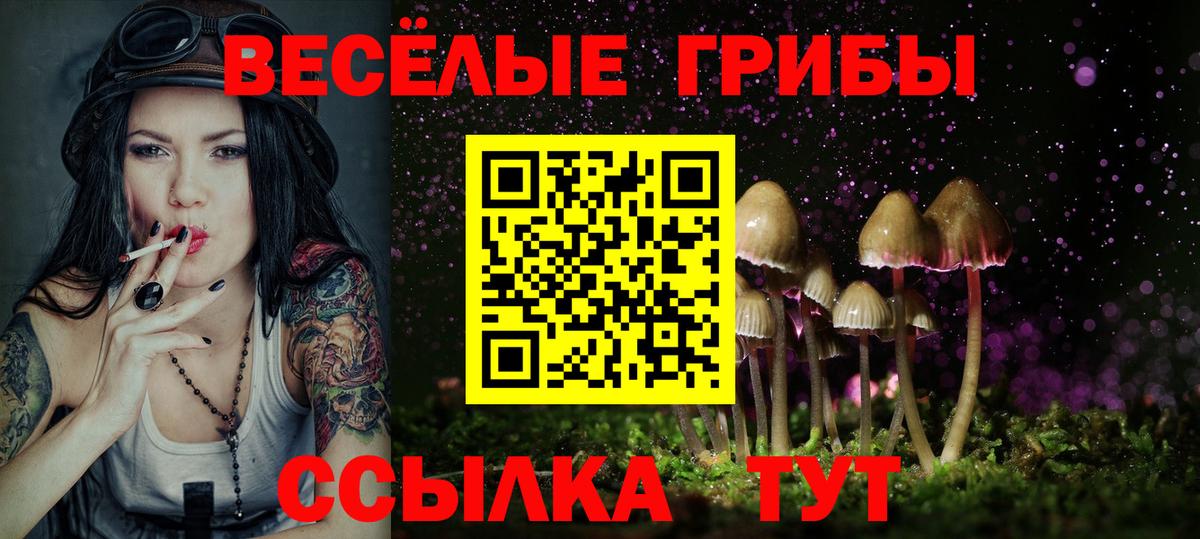 Горячий Ключ  Псилоцибиновые грибы Psilocybine cubensis  Вход с VPN 