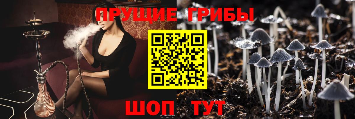 Галлюциногенные грибы ЛСД Горячий Ключ